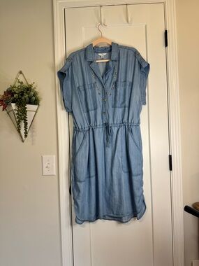Time & True Lyocell Denim Dress with Necklace Bundle